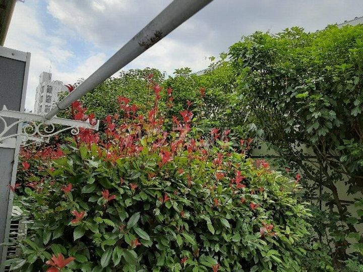 リリーズハウス相模大野の内装