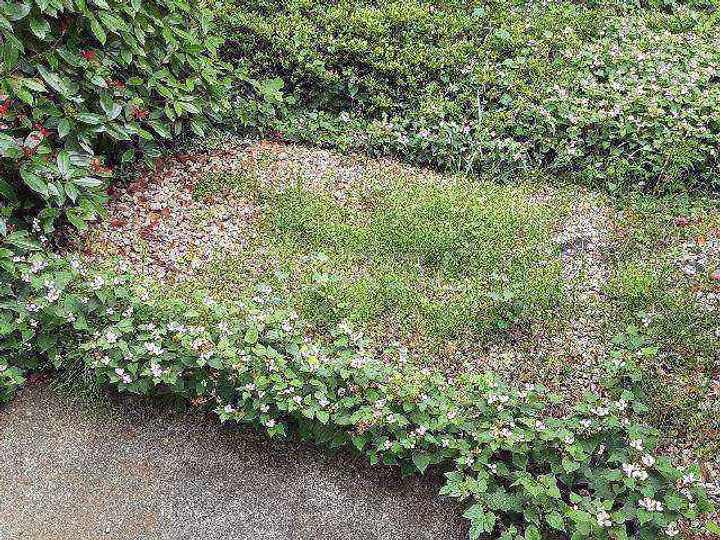 リリーズハウス相模大野の内装