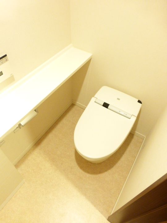 東京都港区東新橋2(マンション)の賃貸物件の内装