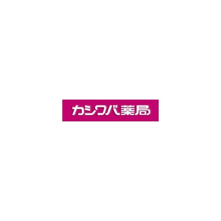 神奈川県横浜市中区柏葉(アパート)の賃貸物件の周辺