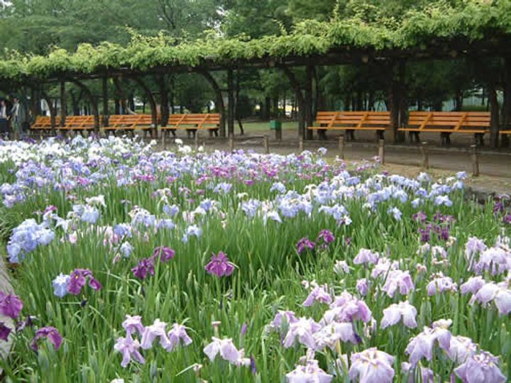 グランフォルム綾瀬の周辺