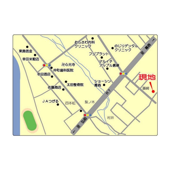 青森県南津軽郡藤崎町大字藤崎字村井(一戸建)の賃貸物件のその他画像