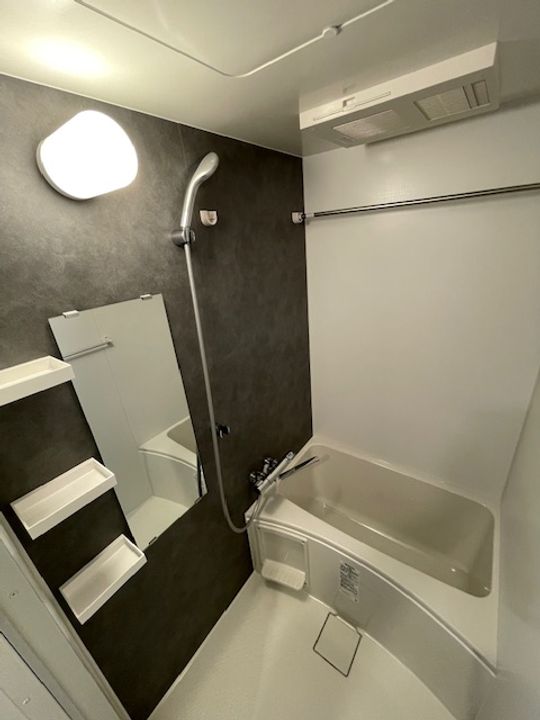 S-RESIDENCE堺浜寺broadの風呂