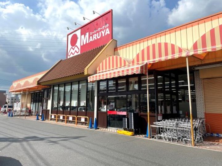 埼玉県川口市三ツ和3(マンション)の賃貸物件の周辺