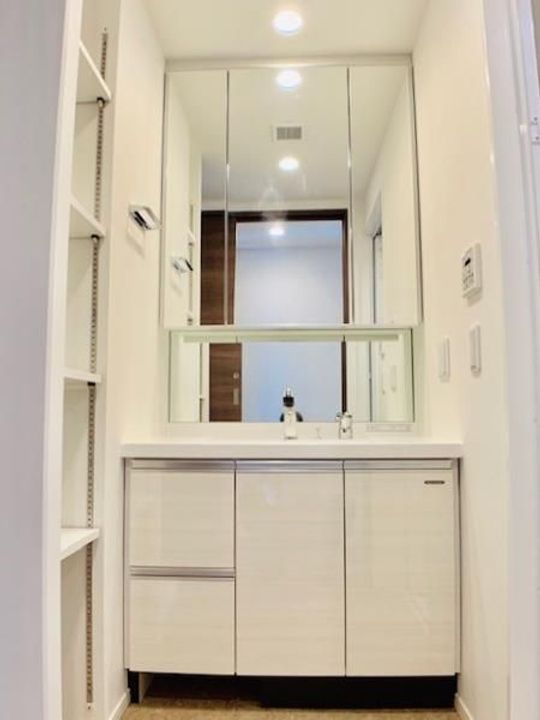 東京都豊島区南長崎5(マンション)の賃貸物件の内装