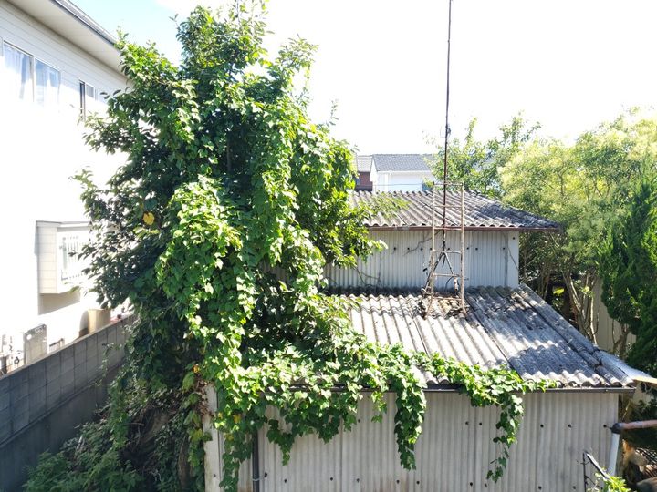 ドムス豊町のその他画像