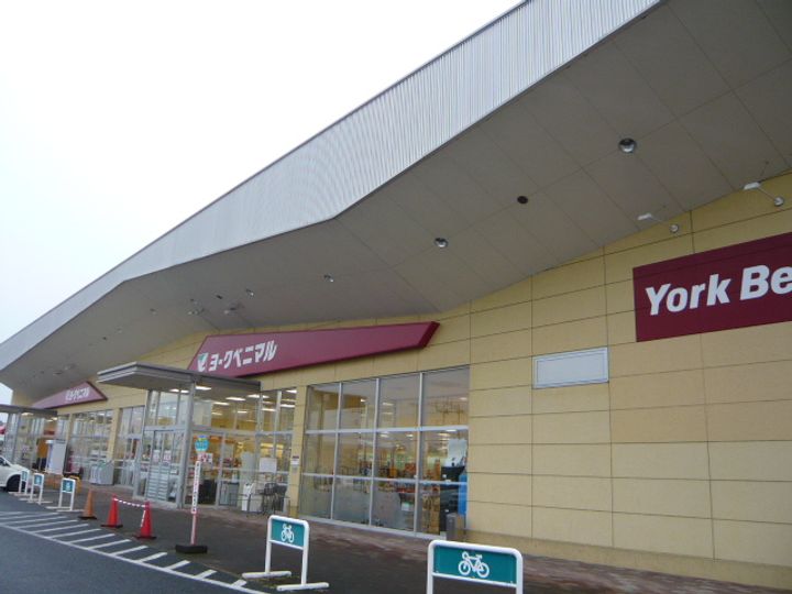 茨城県常陸大宮市泉(一戸建)の賃貸物件の周辺