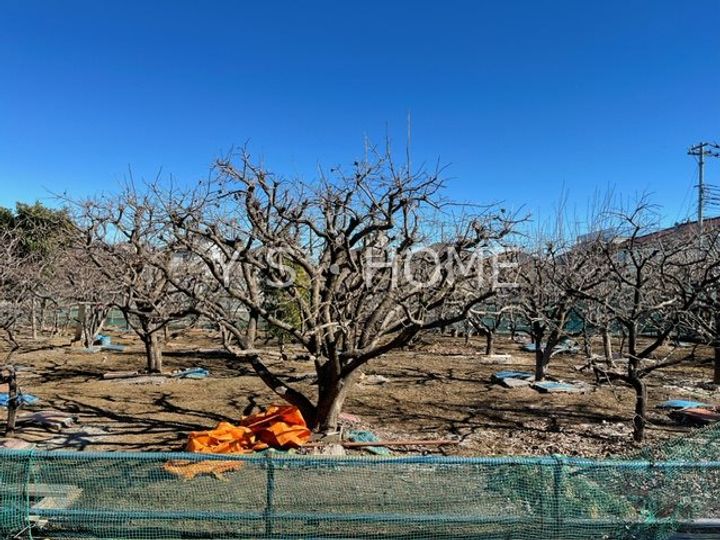 東京都小平市仲町(マンション)の賃貸物件のその他画像