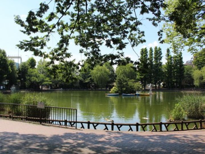 東京都板橋区志村1の賃貸マンションの周辺