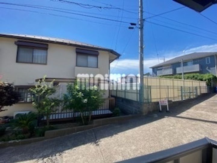 エバーグリーンのその他画像