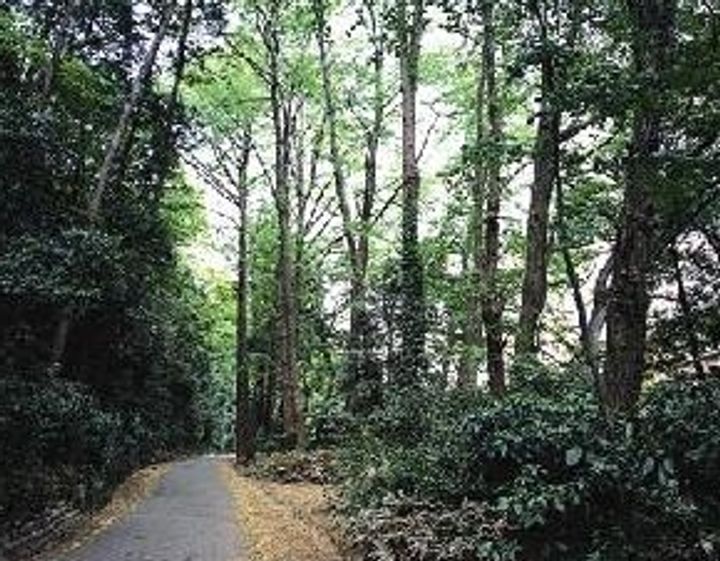 東京都世田谷区鎌田3(マンション)の賃貸物件の周辺