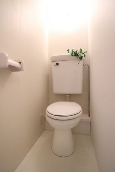 カサ・デ・エレガンシアの内装