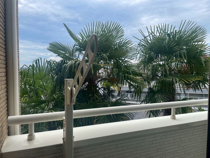 東京都国分寺市南町1(一戸建)の賃貸物件のその他画像