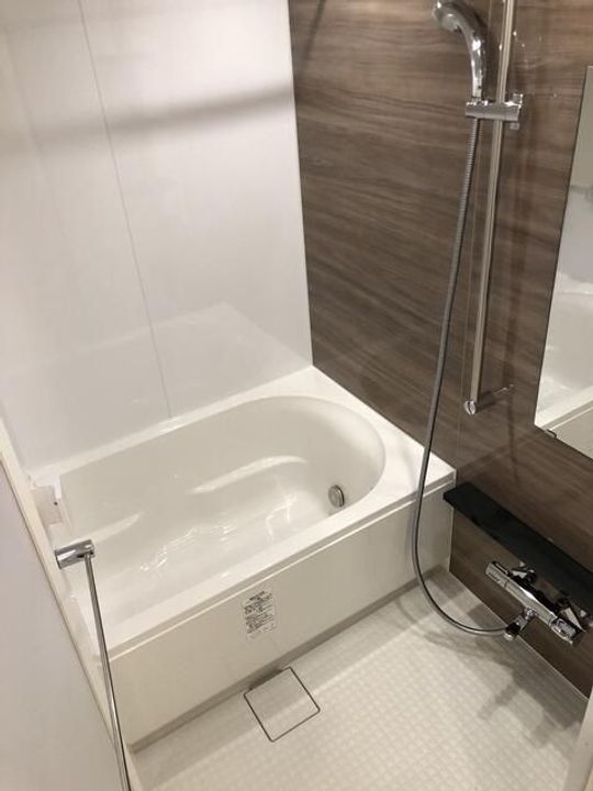 エストゥルース両国IIの風呂