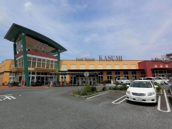 千葉県成田市玉造7(マンション)の賃貸物件の周辺