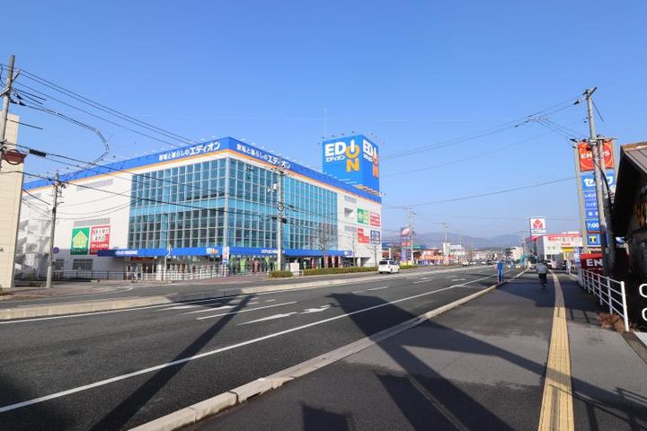 ダンデライオンの周辺