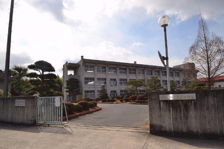 ダンデライオンの周辺