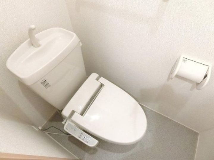 プラシード11の内装