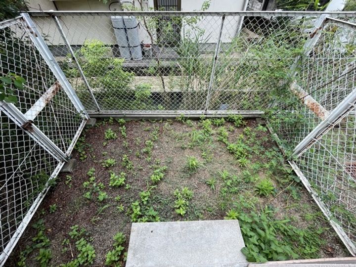 イルサローネの内装