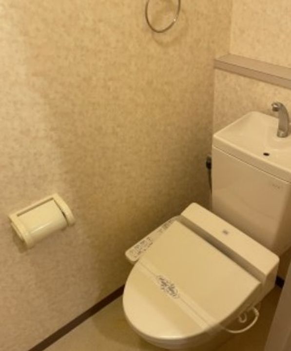 東京都新宿区喜久井町(マンション)の賃貸物件の内装