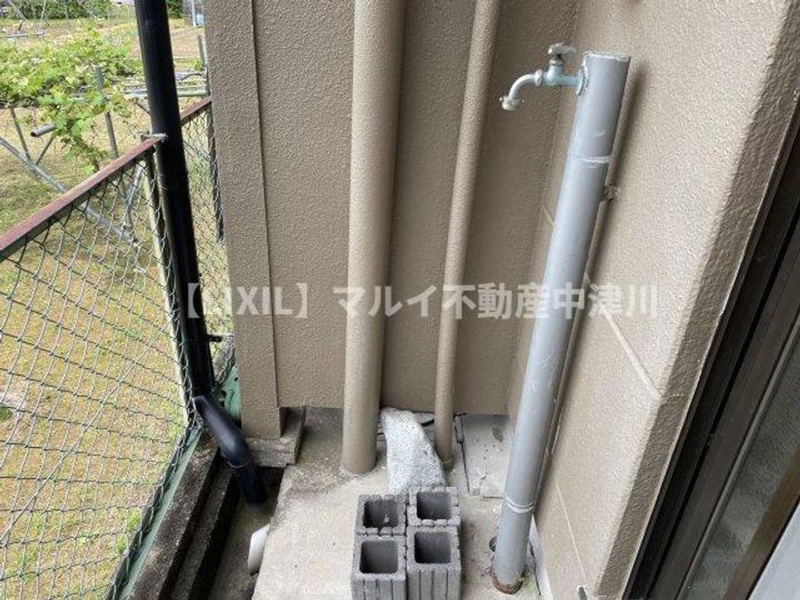 フェリーチェミツワのその他画像