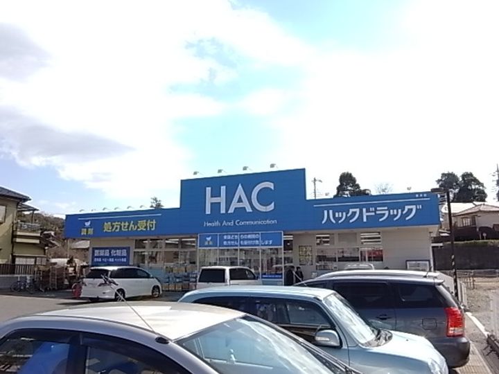 アスターミキの周辺