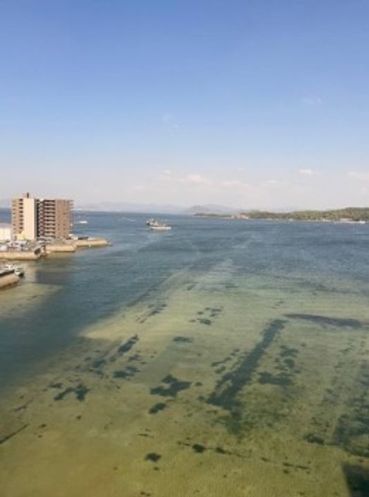 ロイヤルハイツ一茶苑のその他画像