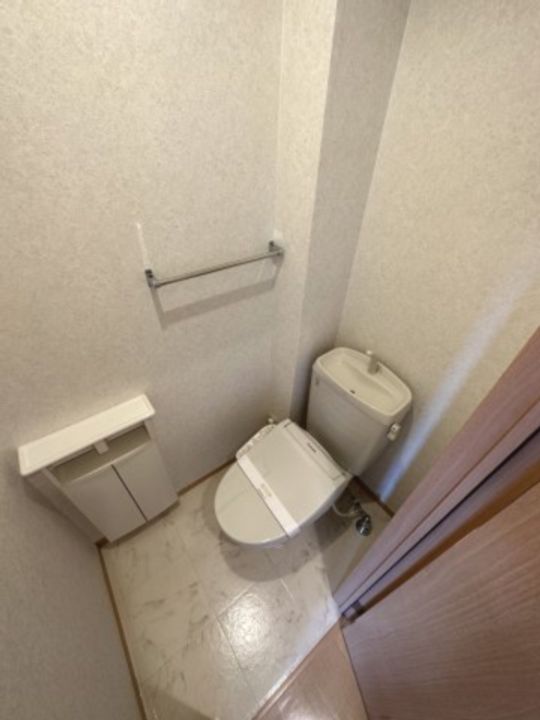 埼玉県熊谷市新堀(アパート)の賃貸物件の内装