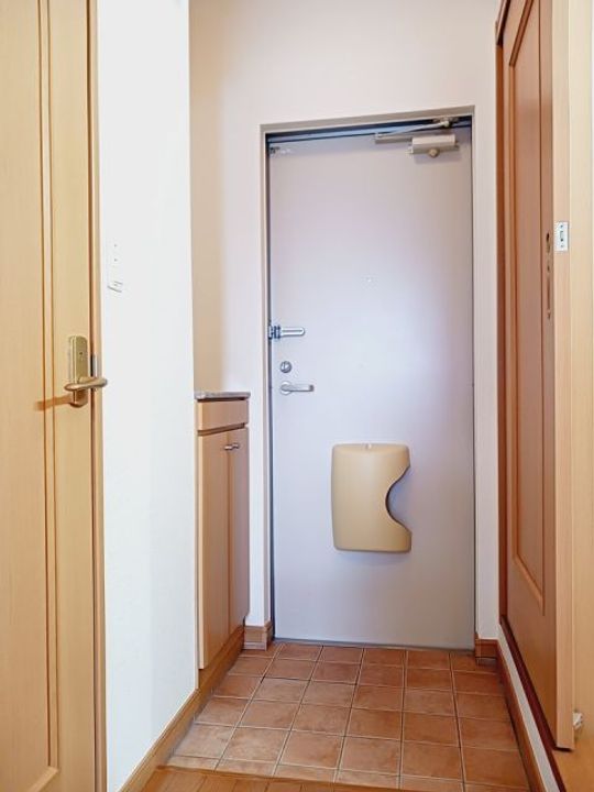 埼玉県鶴ヶ島市大字脚折(アパート)の賃貸物件の玄関