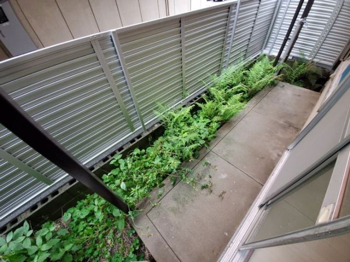 大阪府高槻市真上町2(アパート)の賃貸物件の内装