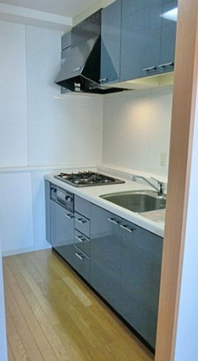 東京都台東区元浅草1(マンション)の賃貸物件のキッチン