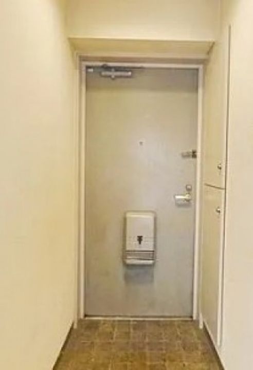 ヴェルドゥミールの玄関