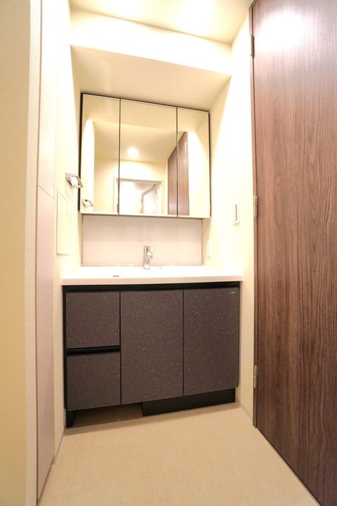 東京都墨田区太平1(マンション)の賃貸物件の内装