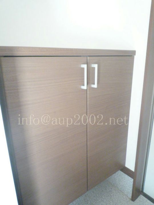 ISESAKI APARTMENTの玄関