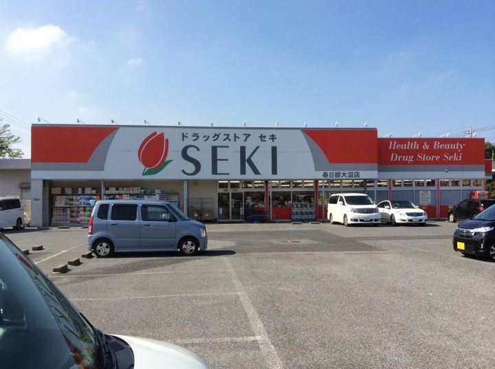 埼玉県春日部市上蛭田(アパート)の賃貸物件の周辺