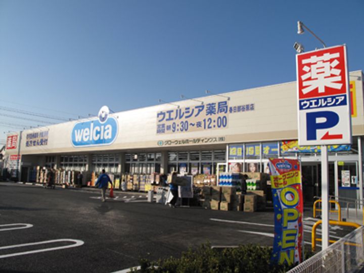 埼玉県春日部市上蛭田(アパート)の賃貸物件の周辺