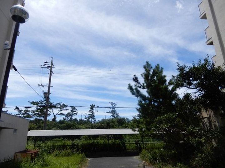 ビレッジハウス新居1号棟のその他画像