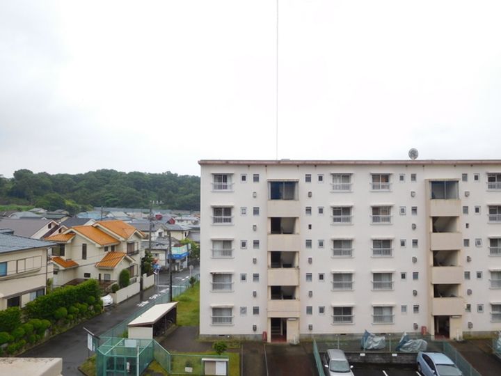 小田原橘のその他画像