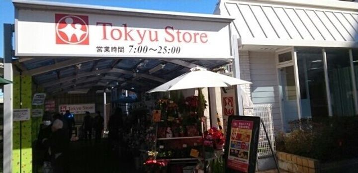 グレイスビュー宮崎台の周辺