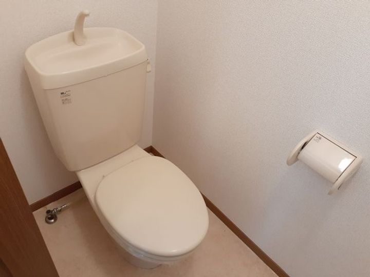 埼玉県本庄市児玉町金屋(アパート)の賃貸物件の内装