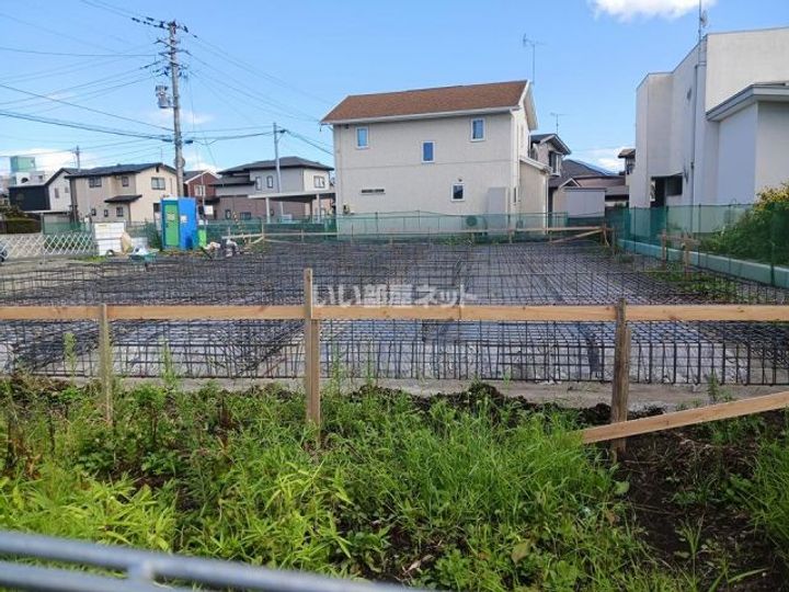 みかんの外観