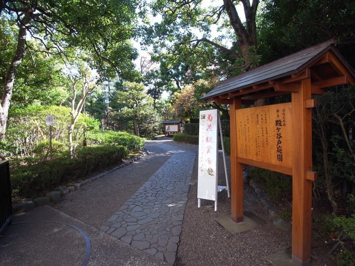 野川ハイツの周辺