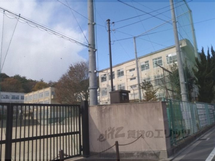 扇山(SENZAN)の周辺