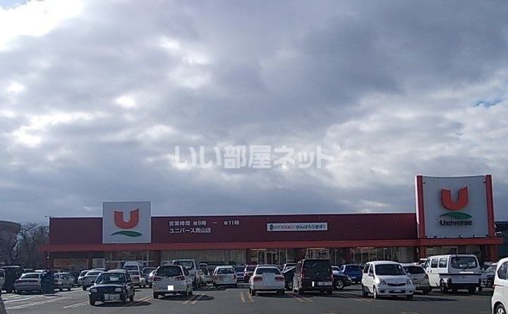 みかんの周辺
