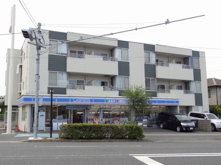 ルピナスの周辺