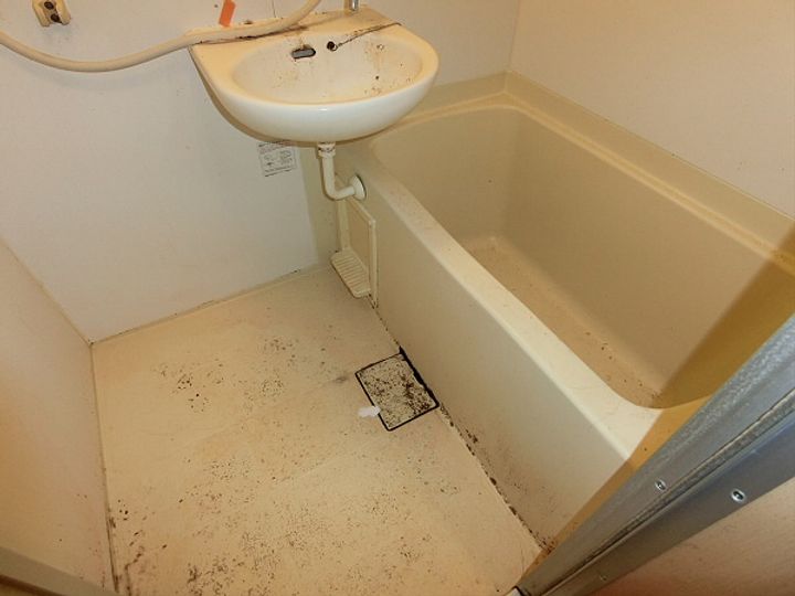 テラパレスIIIの風呂