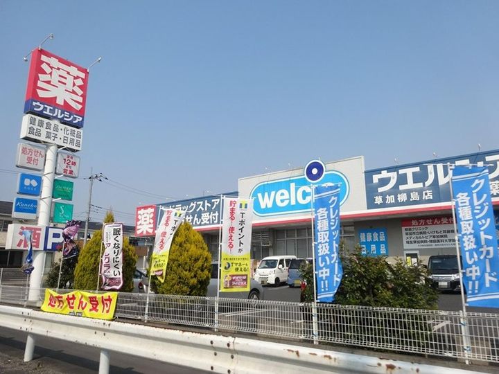 草加グリーンハイムの周辺