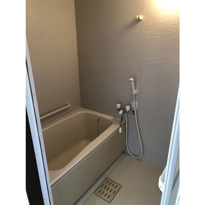 ザ・ヤングのその他画像