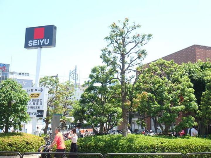 マツノハイツ栗原の周辺