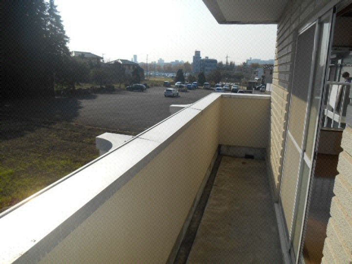 TF-1のその他画像